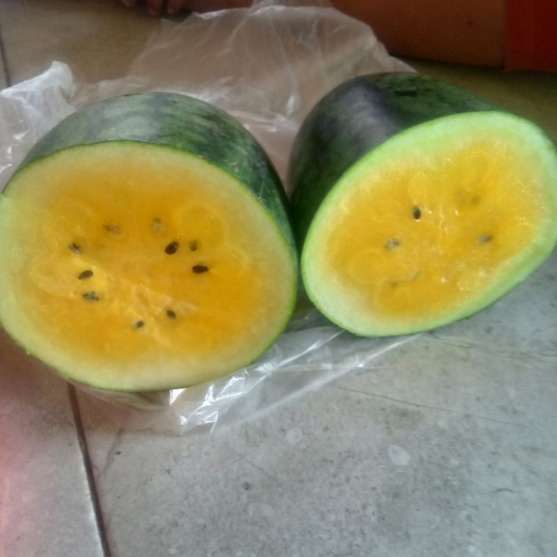 

Semangka Kuning Fresh
