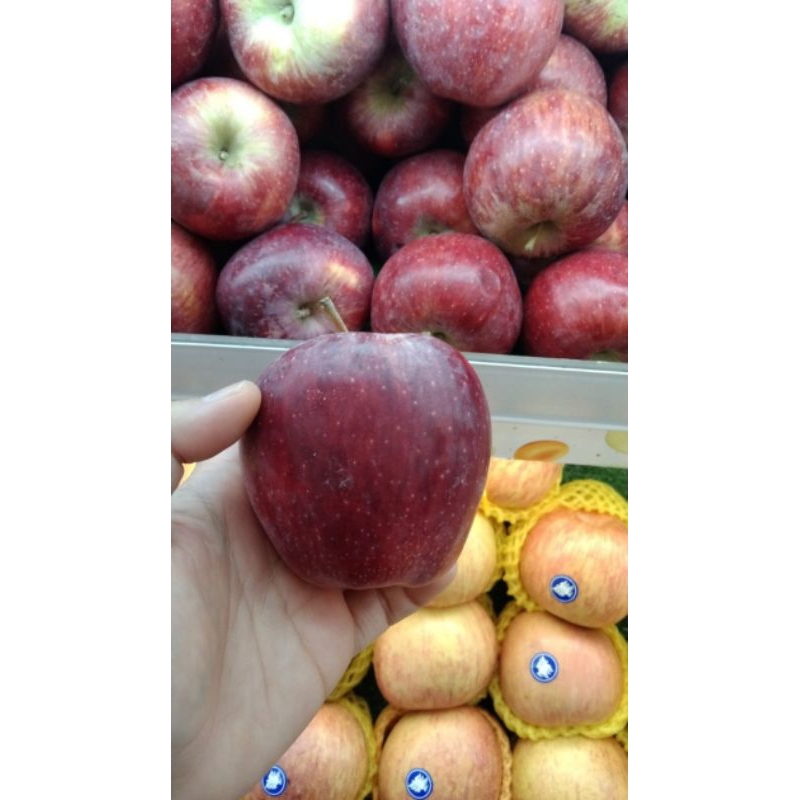 

APEL RED DELECIUS AFRIKA - APEL MERAH MANIS PER KILO