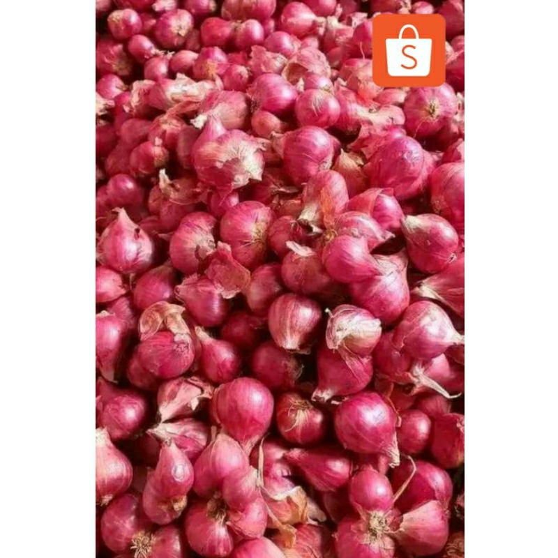

BAWANG MERAH ASLI BREBES bawang Merah 1 kg asli Brebes