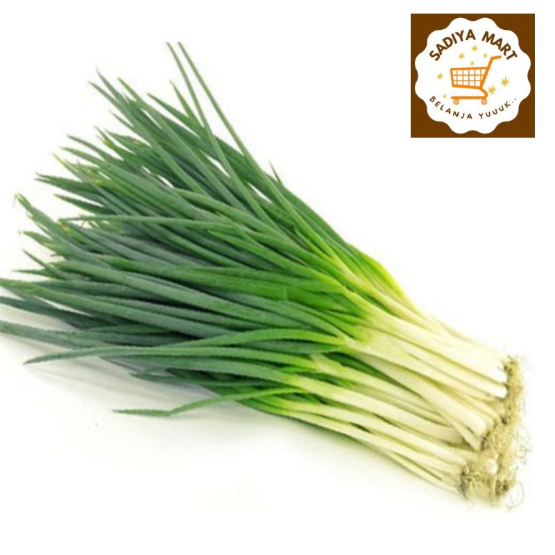 

Daun bawang / bawang daun 100 gram