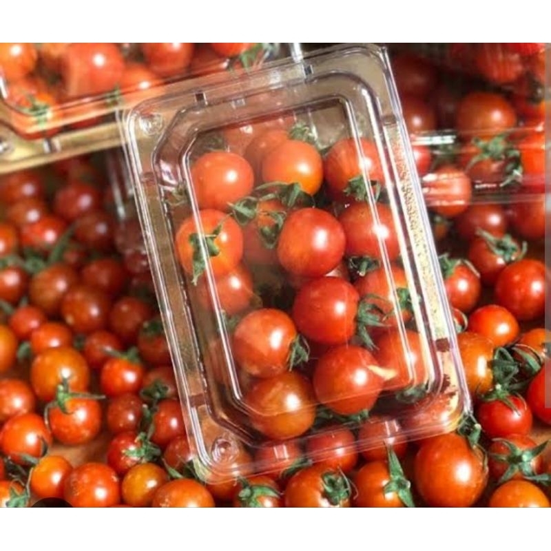 

Tomat Cheri (1 Pack)
