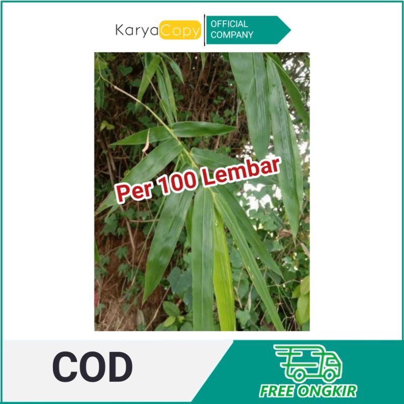 

Daun bambu segar / daun bambu bakcang / daun bambu bacang / daun awi (100) lembar