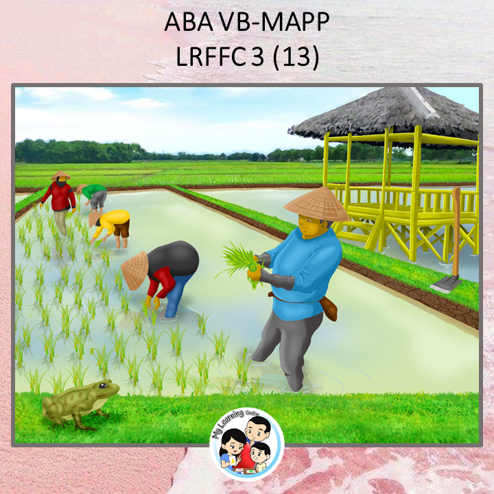Kartu Belajar ABA-VB LRFFC Level 3.13