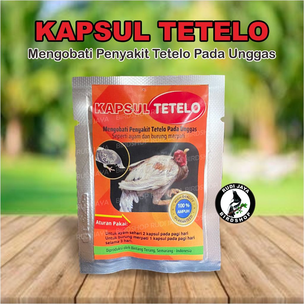 KAPSUL TELO TETELO AYAM 1 SACHET RUDI JAYA OBAT AYAM SAKIT TETELO SNOT AYAN CRD KEPALA BERPUTAR