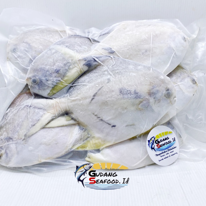 

Ikan Bawal putih 100/140 per kg 8-10 ekor