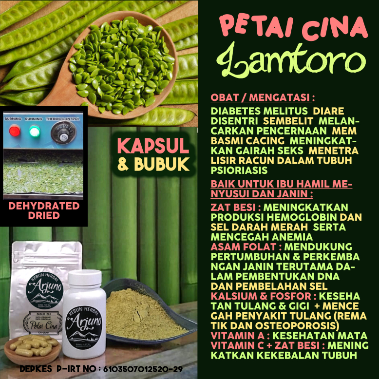 Dehydrated Dried Kapsul Bubuk Biji Petai Cina Lamtoro Gung Obat Diabetes Melitus Anemia (Baik Untuk 