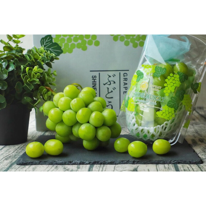 

Anggur Hijau Shine Muscat Jepang / Japanese Per Pack Fresh Import