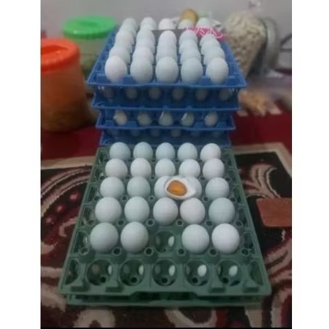 

TELUR ASIN Omega G&G InsyaAllah Masir dan Gurih juga Murah