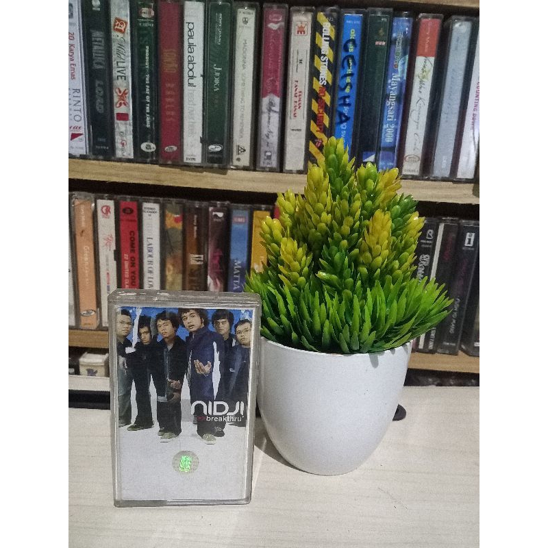 KASET NIDJI BREAKHTRU 2008