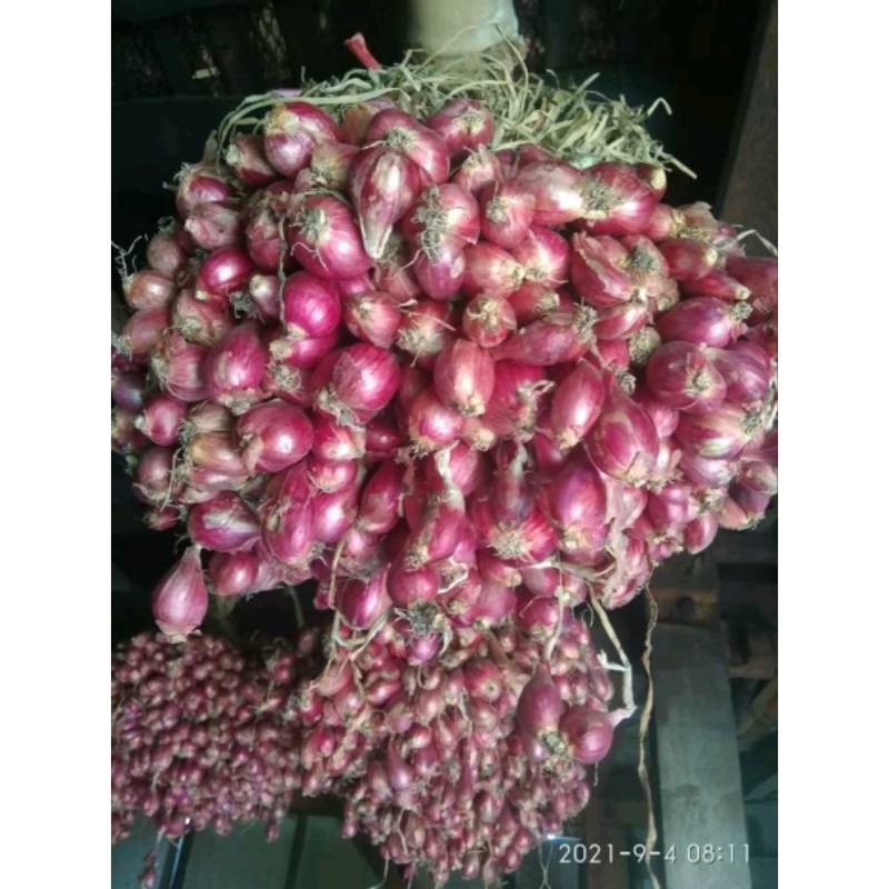 

bawangBrebes