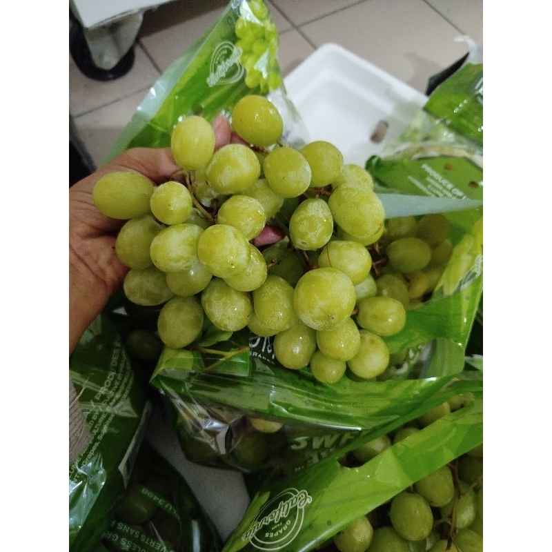

Anggur green sweet globe USA