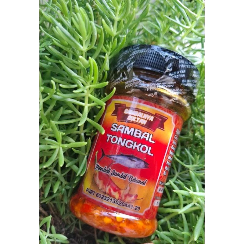 

sambal tongkol pedas - sambal praktis - sambal hot