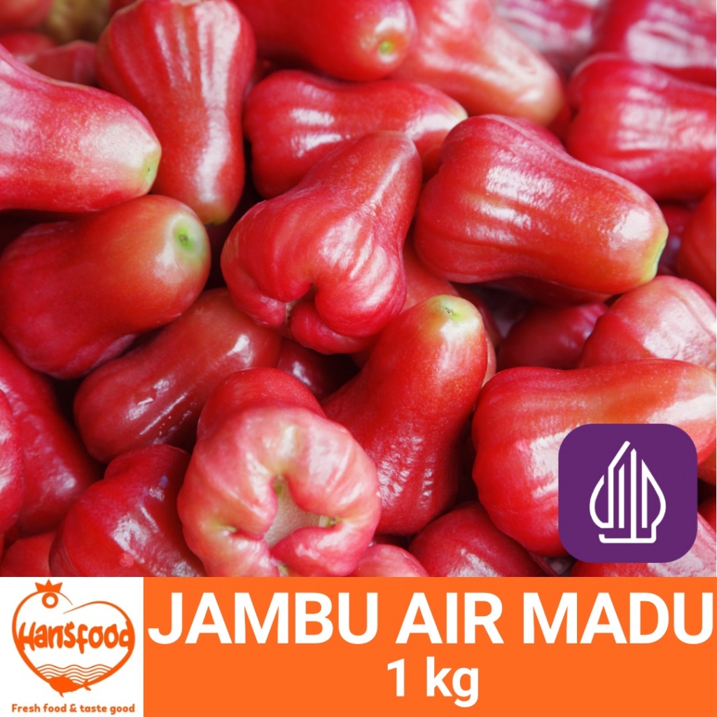

BUAH JAMBU AIR MADU SEGAR 1KG