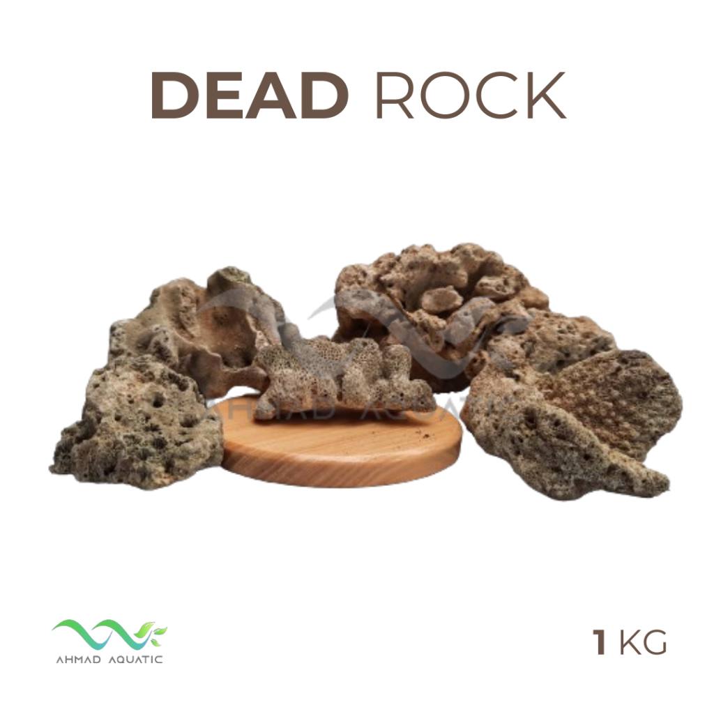 Batu Dead Rock atau Karang Mati Hiasan Aquarium/Aquascape