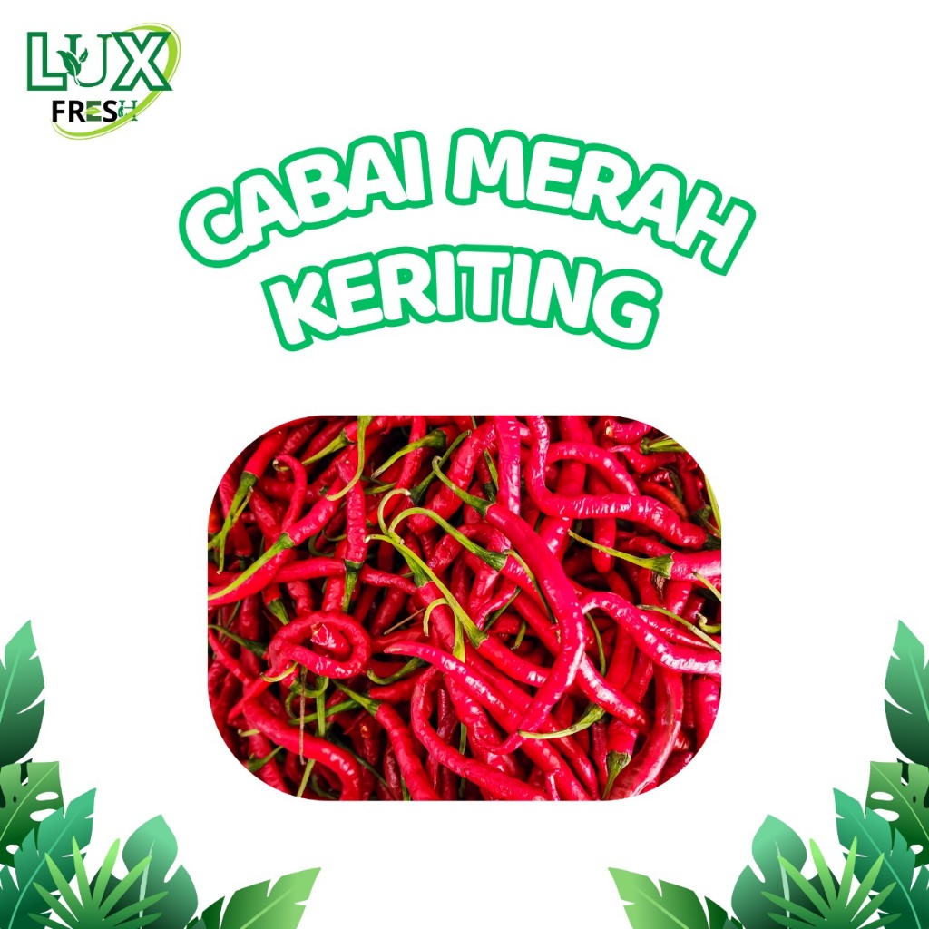 

CABAI MERAH KERITING 500 GRAM DAN 1 KG SEGAR DAN BERKUALITAS