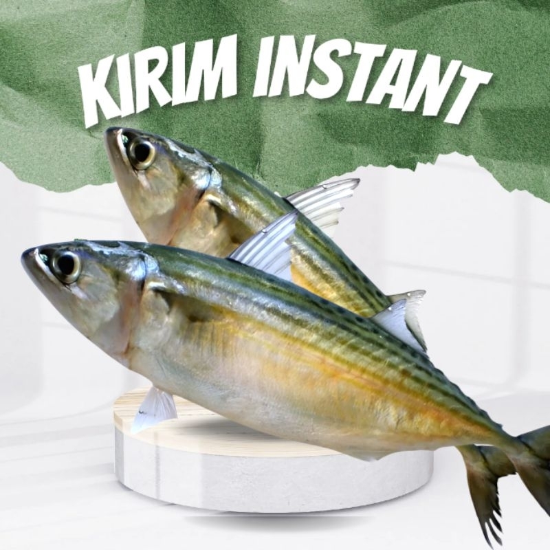 

ikan kembung banjar segar