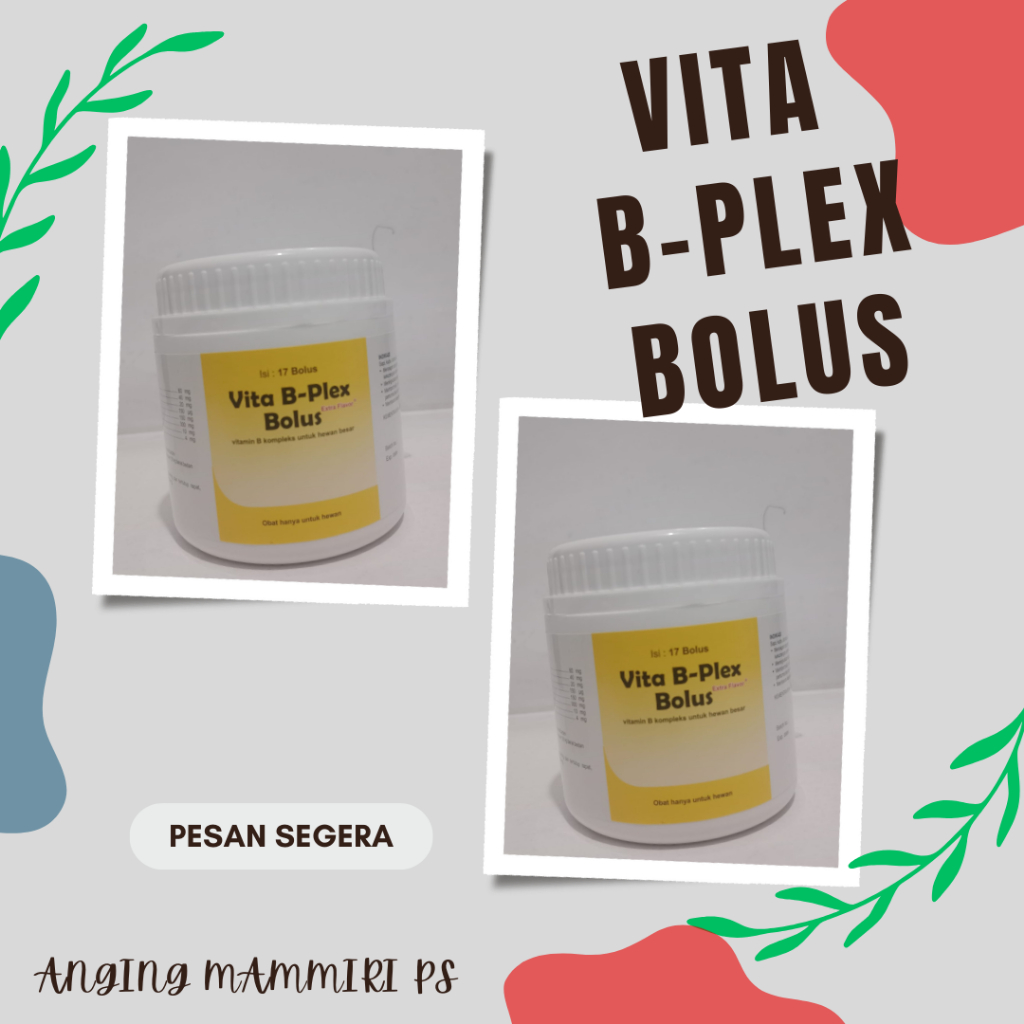 Vita B-Plex Bolus EF 17 BOLUS (Vitamin B kompleks untuk hewan besar)