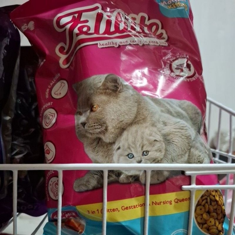 Felibite Mother & Kitten