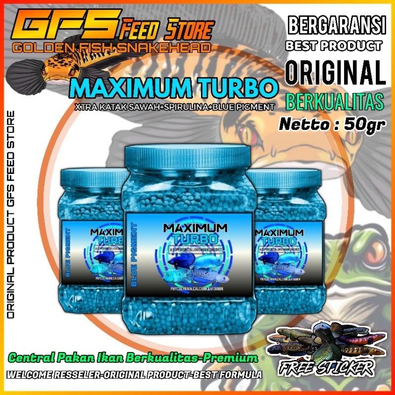 Maximum Blue Pelet Channa Pulchra Andrao Chiclid Original GFS