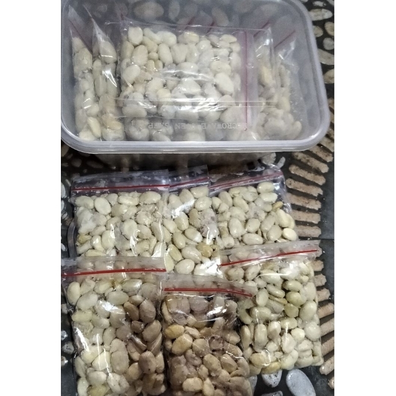 Biji Jarak Fermentasi Umpan Bawal