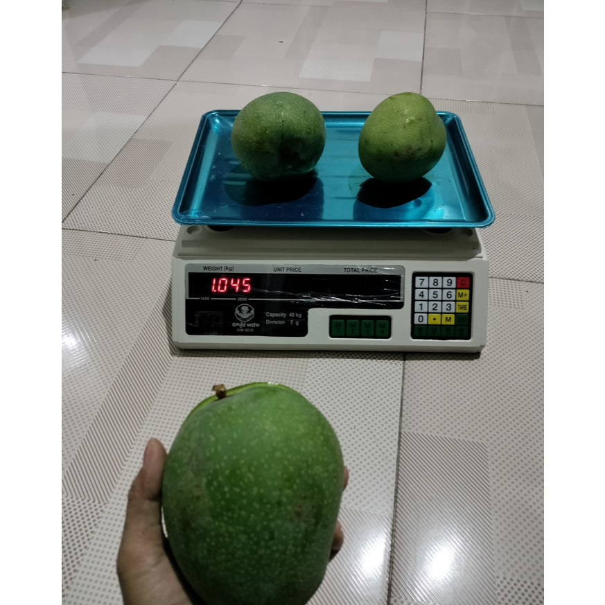 

MANGGA MADU ANGUR 1KG ISI 2-3-4 BISA REQUEST
