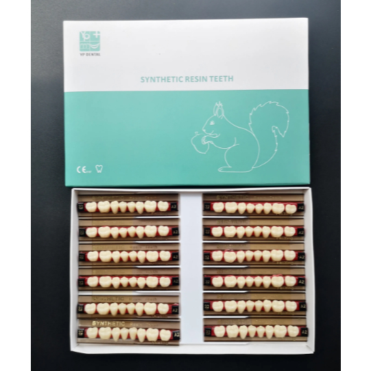 YP Synthetic 1 Box Belakang Posterior Anasir Artificial Gigi Palsu Dental