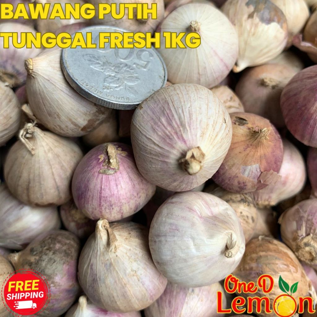 

Bawang Putih Tunggal Lanang Ukuran Besar 1 kg Selalu Fresh Baru Datang No Peot Peot