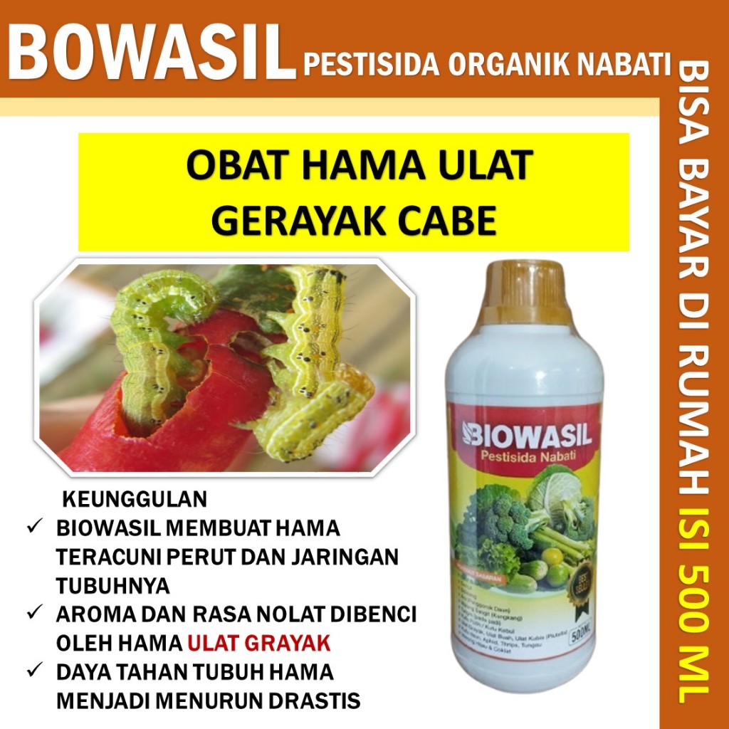 (recomended)BIOWASIL 500 ML Pestisida Semprot Organik Anti Hama Ulat Grayak cabe / Pupuk Tanaman Jag