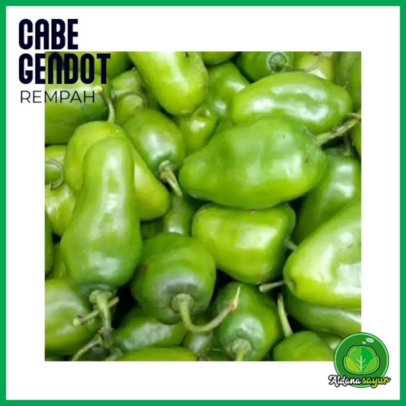 

Cabe Bendot aldana sayur garut 250gr