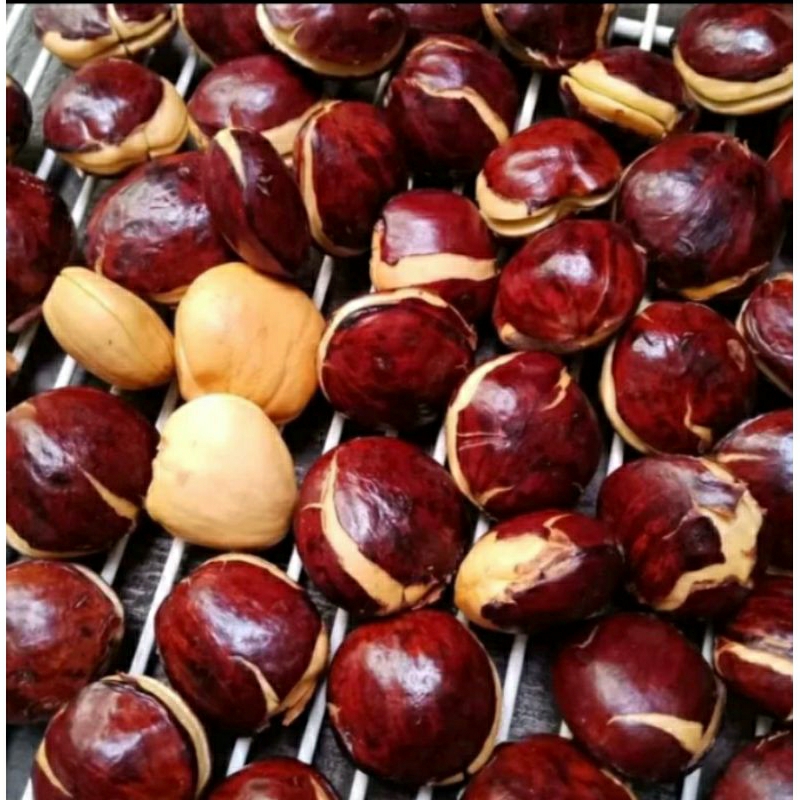 

Jengkol segar / 500gr