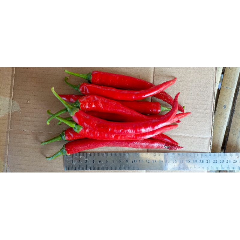 

cabe merah super 1kg