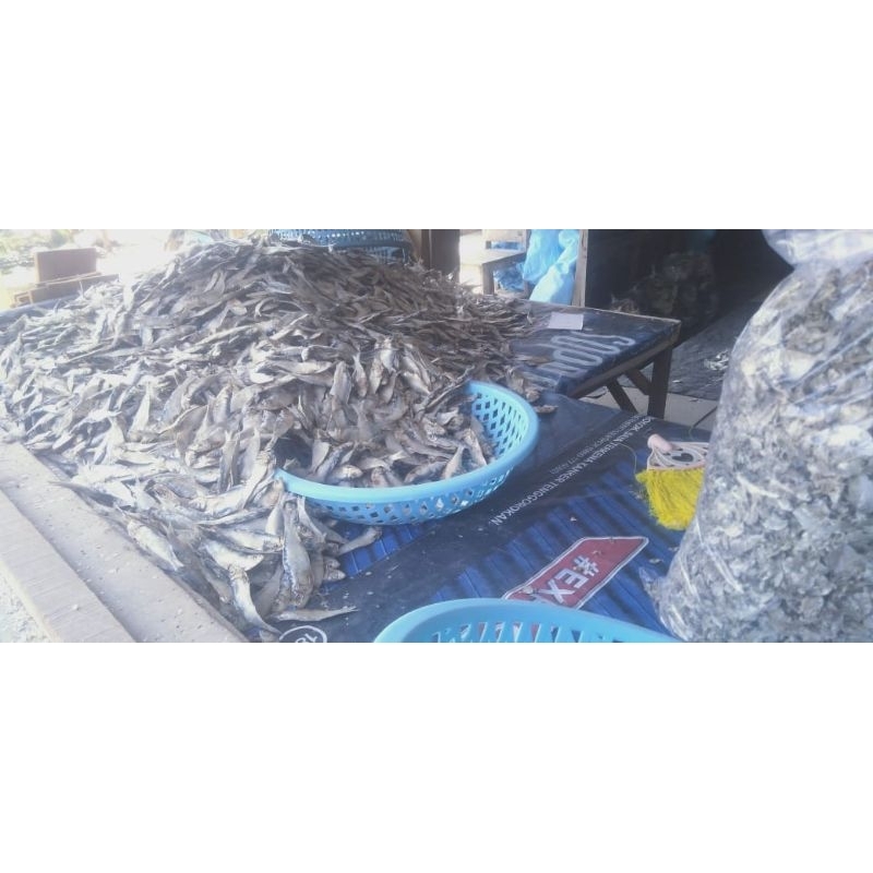 

IKANASINASLIPEMALANG