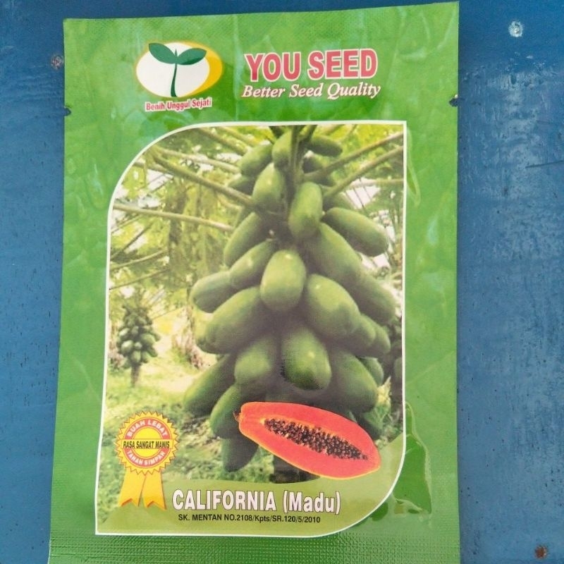 Bibit pepaya california (madu)