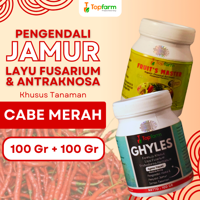 Fungisida Topfarm / Obat Jamur Akar Tanaman Cabe / Obat Jamur Cabe / Obat Jamur Pada Cabe / Obat Jam