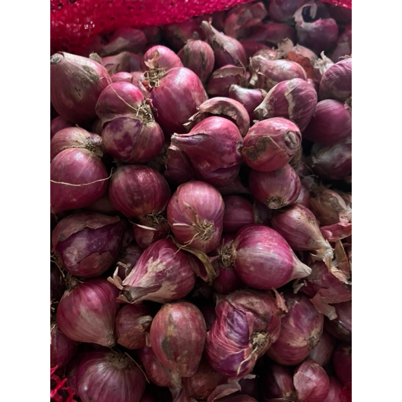 

BAWANG MERAH BREBES BREBES KERING