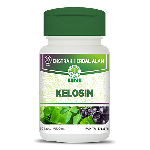 

KELOSIN HNI HPAI | Herbal Memperkuat Daya Ingat