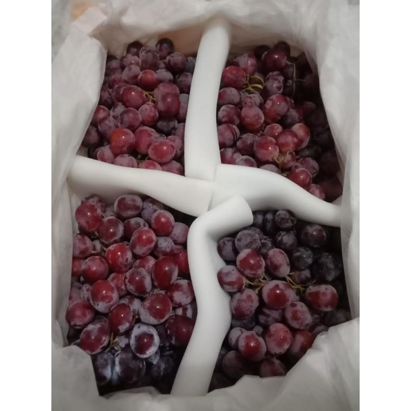 

Buah Anggur fresh import