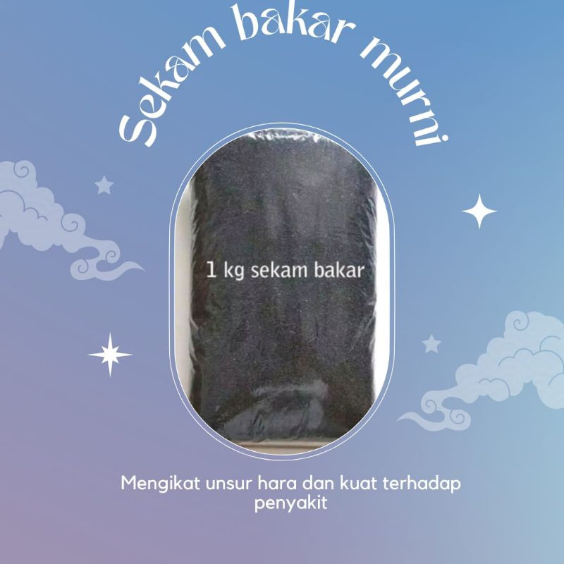 JAMIN ASLI.. sekam bakar karung, sekam bakar karungan