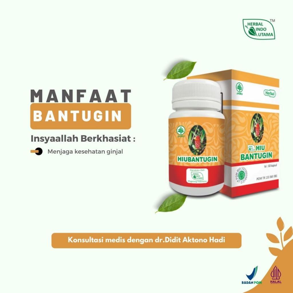 

HIU BANTUGIN Peluruh Batu Ginjal Herbal Isi 60 Kaps
