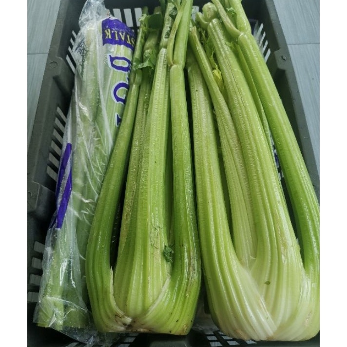 

Promo Celery Stick Import seledri FRESH
