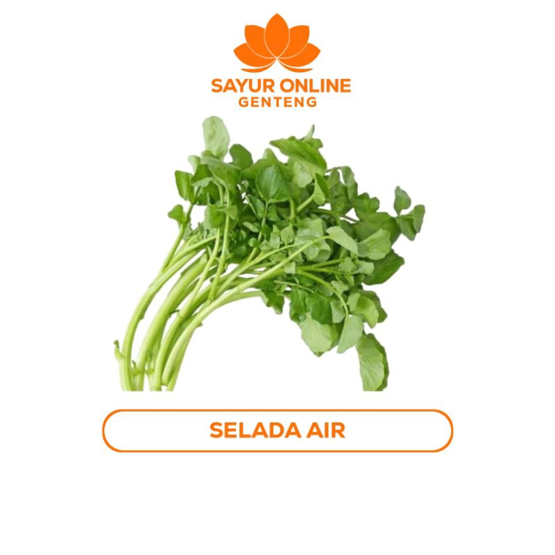 

Sayur Selada Air - Sayur Online Genteng