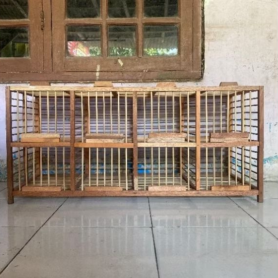 DONGDANG MERPATI JEMUR PINTU 8 MURAH