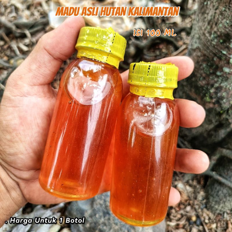 

Madu Murni Hutan Liar Kalimantan Bukan Budidaya Asli Original Wanyi Lebah