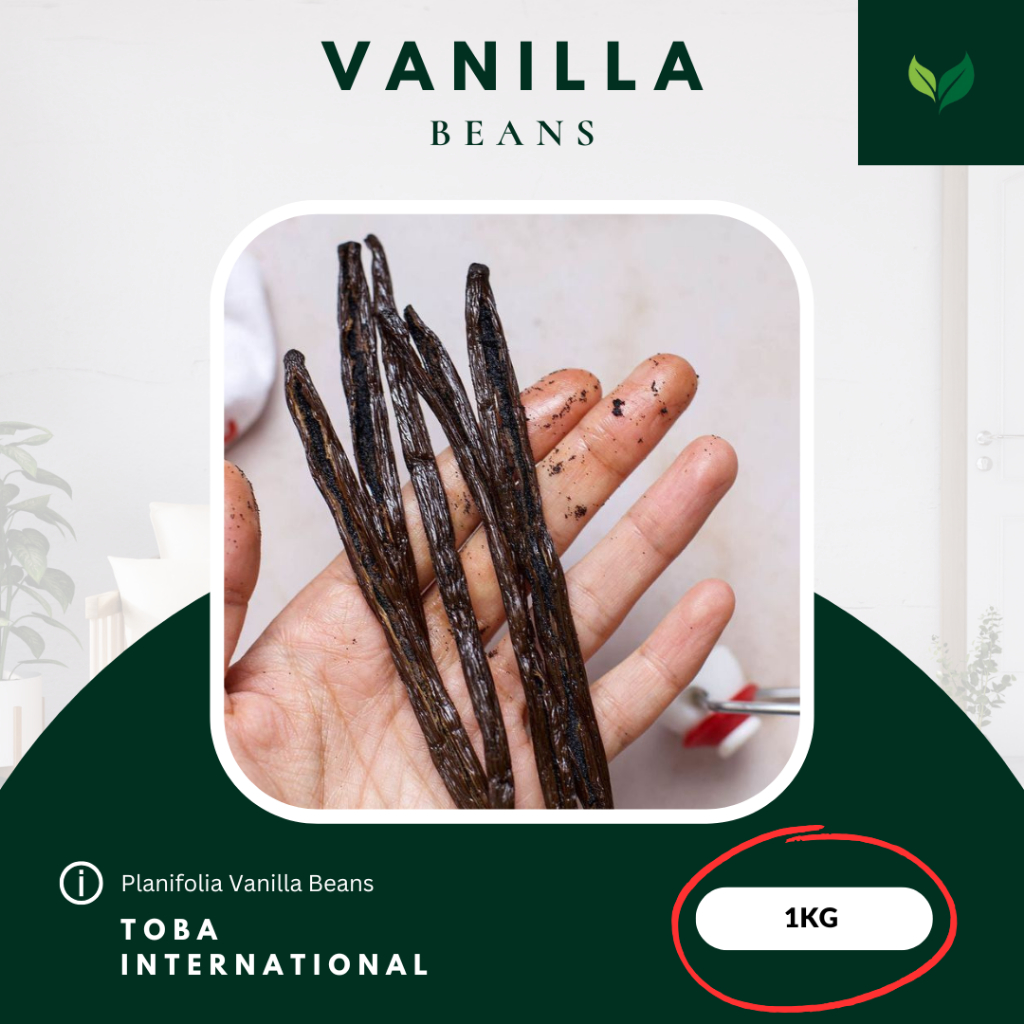 

Vanilla Beans Planifolia 1kg Grade A Termurah