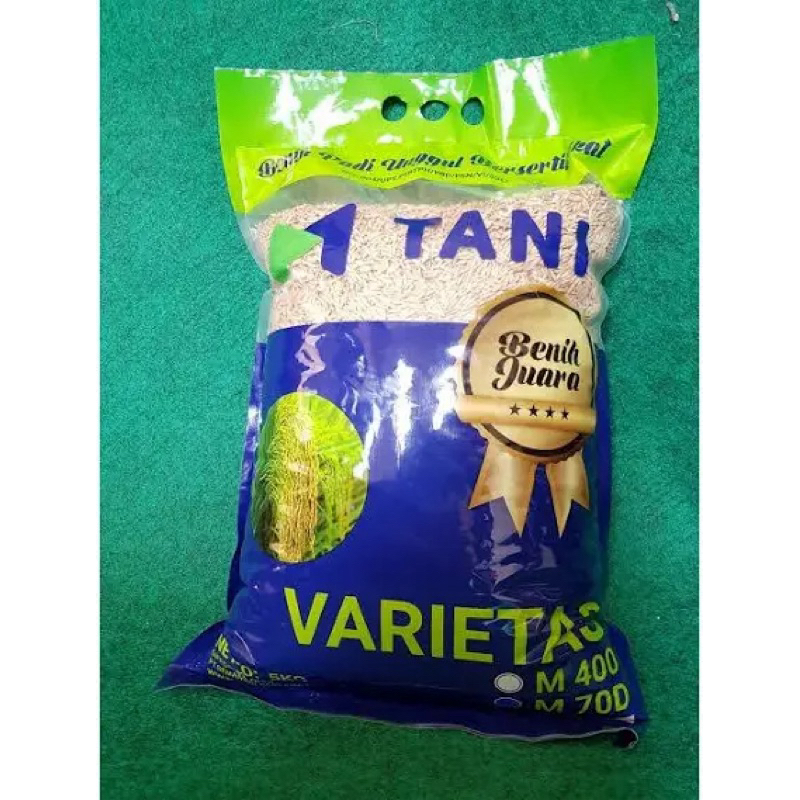 benih padi m 70d dari m tani