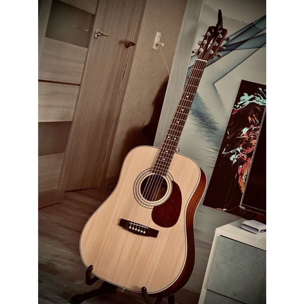 Gitar Cort AD810OP