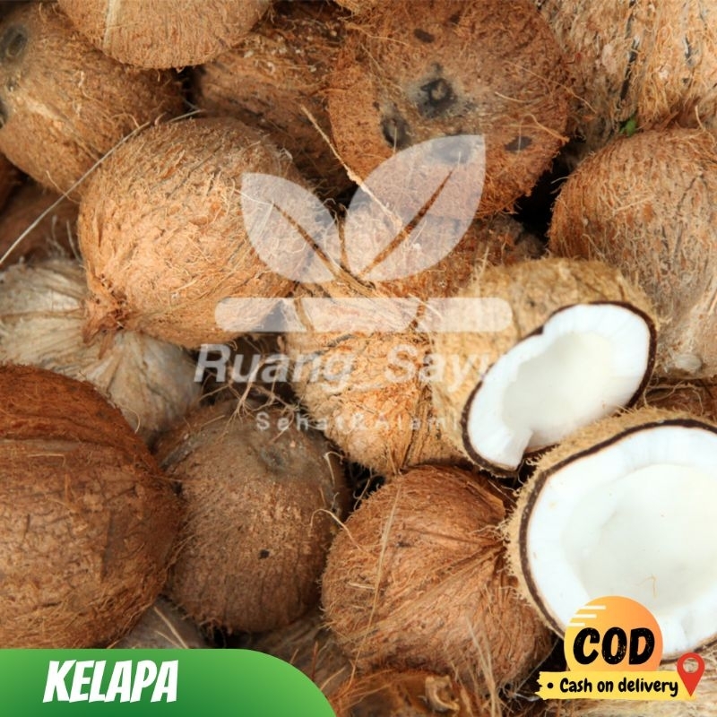 

Kelapa Parut 1 Buah , Kelapa Tanpa Sabut/Kulit , Coconut
