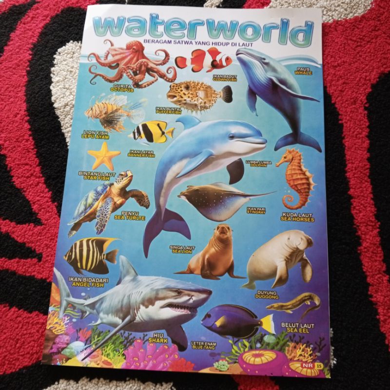 Aneka Poster edukasi anak, poster anak seri binatang/hewan