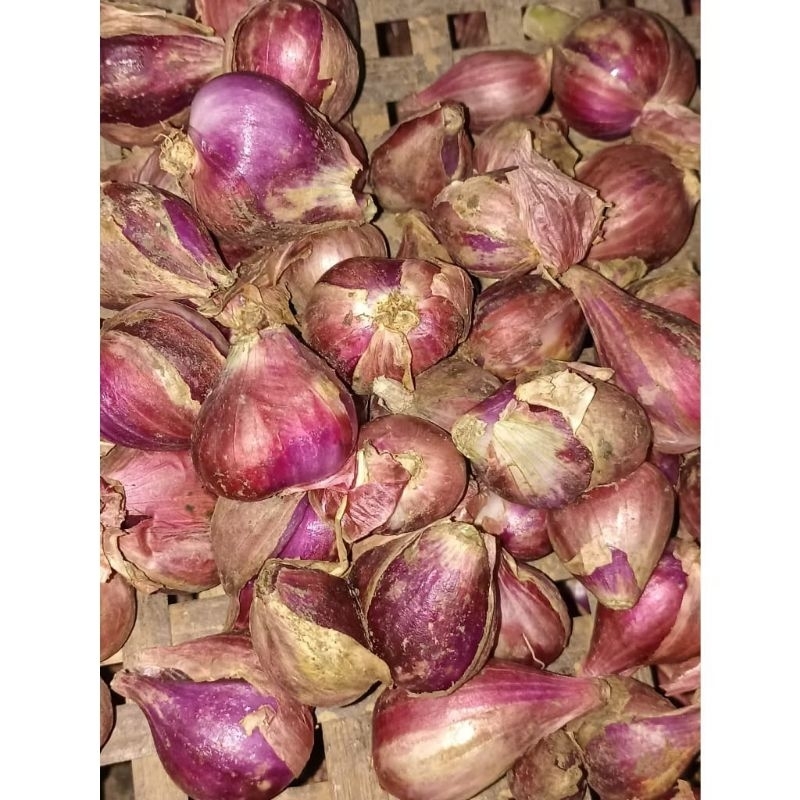 

RB BAWANG MERAH BREBES BESAR 1Kg