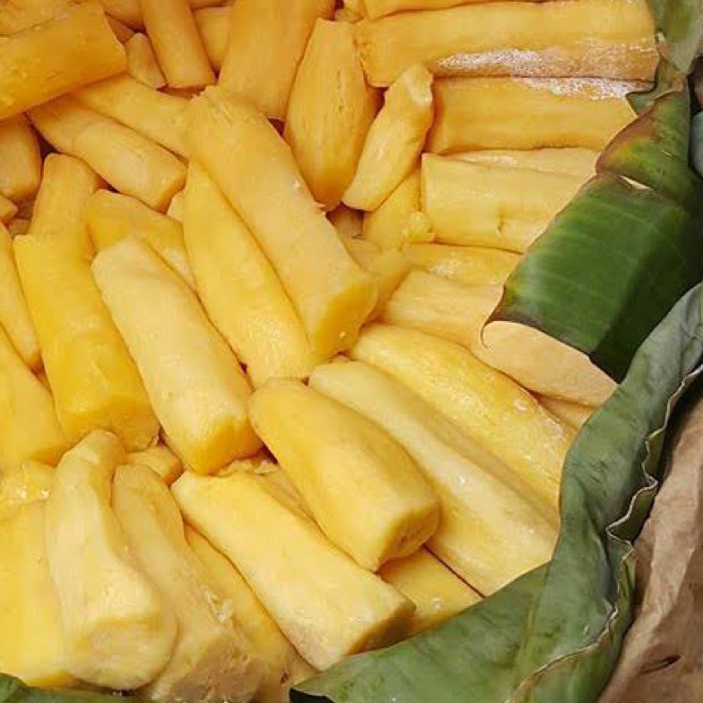 

Berkualitas PASAR ONLINE MURAH TAPE SINGKONG 5gr